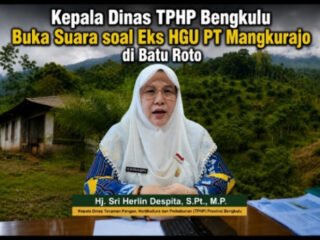 Dinas TPHP Provinsi Bengkulu, Buka Suara Kewenangan Eks HGU PT Mangkurajo, Publik Tunggu Kejelasan Status Hukum