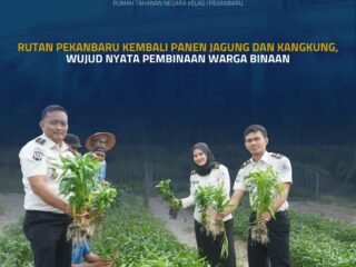 Rutan Pekanbaru Kembali Panen Jagung Dan Kangkung, Wujud Nyata Pembinaan Warga Binaan