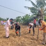 Dukung Swasembada Pangan 2026, Polres Kuansing Bersama Kelompok Tani Tanam Jagung Di Lahan Satu Hektare