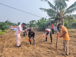 Dukung Swasembada Pangan 2026, Polres Kuansing Bersama Kelompok Tani Tanam Jagung Di Lahan Satu Hektare