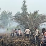 Bertambah, Polda Riau Kini Tangani 45 Kasus Karhutla, 49 Orang Jadi Tersangka