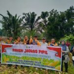 Polsek Kuantan Tengah Dukung Panen Jagung Pipil BUMDes Semangat Maju, Hasilkan 3,5 Ton