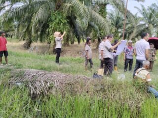 Proses Hukum Dinilai Dipaksakan, Keluarga Pertanyakan Penahanan Warga Pangkalan Baru Terkait Sengketa lahan