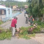 Respon Cepat: Babinsa Cot Abeuk Bersama Bhabinkamtibmas & Warga Bersihkan Pohon Tumbang, Jalan Kembali Lancar