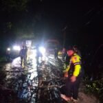 Polsek Singingi Hilir Tindak Lanjuti Laporan 110, Pohon Tumbang Ganggu Arus Lalu Lintas