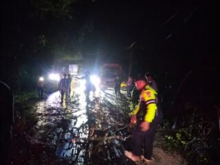 Polsek Singingi Hilir Tindak Lanjuti Laporan 110, Pohon Tumbang Ganggu Arus Lalu Lintas