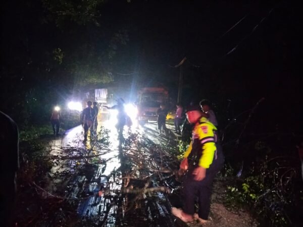 Polsek Singingi Hilir Tindak Lanjuti Laporan 110, Pohon Tumbang Ganggu Arus Lalu Lintas