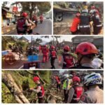 Polres Cianjur Bergerak Cepat Tangani Pohon Tumbang di Jalur Cipanas–Puncak