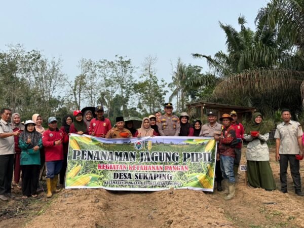 Polsek Pangean Dukung Ketahanan Pangan, Tanam Jagung Pipil Di Desa Sukaping