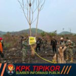 Cegah Karhutla dan Lindungi Satwa, Tim Gabungan Polda Jambi Sisir Kawasan Konservasi Gajah Tebo