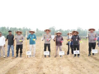 Kapolres Kuansing Dukung Penanaman Jagung Pipil Untuk Ketahanan Pangan Nasional
