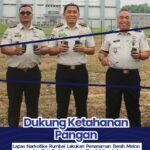 Dukung Ketahanan Pangan Lapas Narkotika Rumbai Lakukan Penanaman Benih Melon Dan Cek Perkembangan Pembibitan Lele