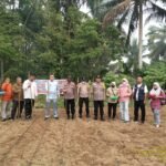 Dukung Ketahanan Pangan, Polsek Kuantan Mudik Tanam Jagung Di Desa Petapahan