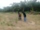 Polsek Kuantan Mudik Cek Tanaman Jagung Di Pebaun Hulu, Dukung Swasembada Pangan