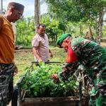 Babinsa Batee Shoek Bantu Angkut Bibit Nilam, Pererat Silaturahmi dan Semangat Gotong Royong