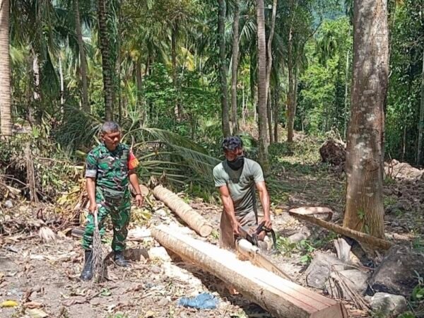 Babinsa Cot Abeuk Bantu Olah Kayu Kelapa Jadi Material Rumah Warga