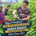 Wujudkan Pembinaan Kemandirian Warga Binaan Lapas Narkotika Rumbai Sukses Panen Timun