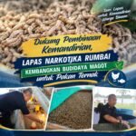 Dukung Pembinaan Kemandirian, Lapas Narkotika Rumbai Kembangkan Budidaya Magot Untuk Pakan Ternak