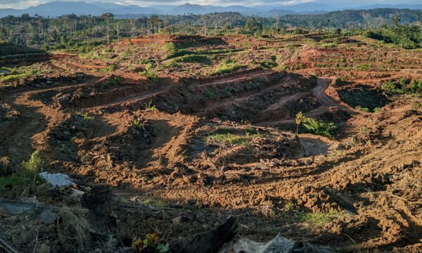 Keluhan Masyarakat Dugaan Pelanggaran Batas Lingkungan PT ALNO Semakin Mengemuka, Pemerintah Diminta Turun Tangan