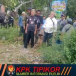 Lahan Kakao Terbengkalai di Arjasa Jember, Warga Desa Piting Turun Tangan Menuntut Pengelolaan