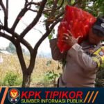 Rela Berpanas-panasan, Dua Anggota Polisi di Malang Pikul Karung Bantu Petani Panen Jagung