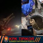 Suasana Pemadaman Listrik di Genteng Wetan dan Temuan Satwa Dekat Trafo