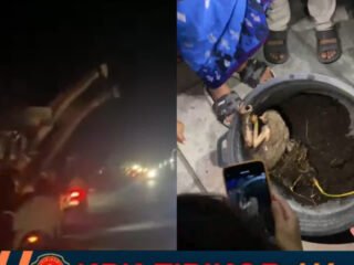 Suasana Pemadaman Listrik di Genteng Wetan dan Temuan Satwa Dekat Trafo